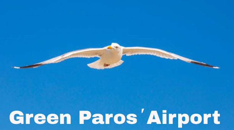 green paros' airport