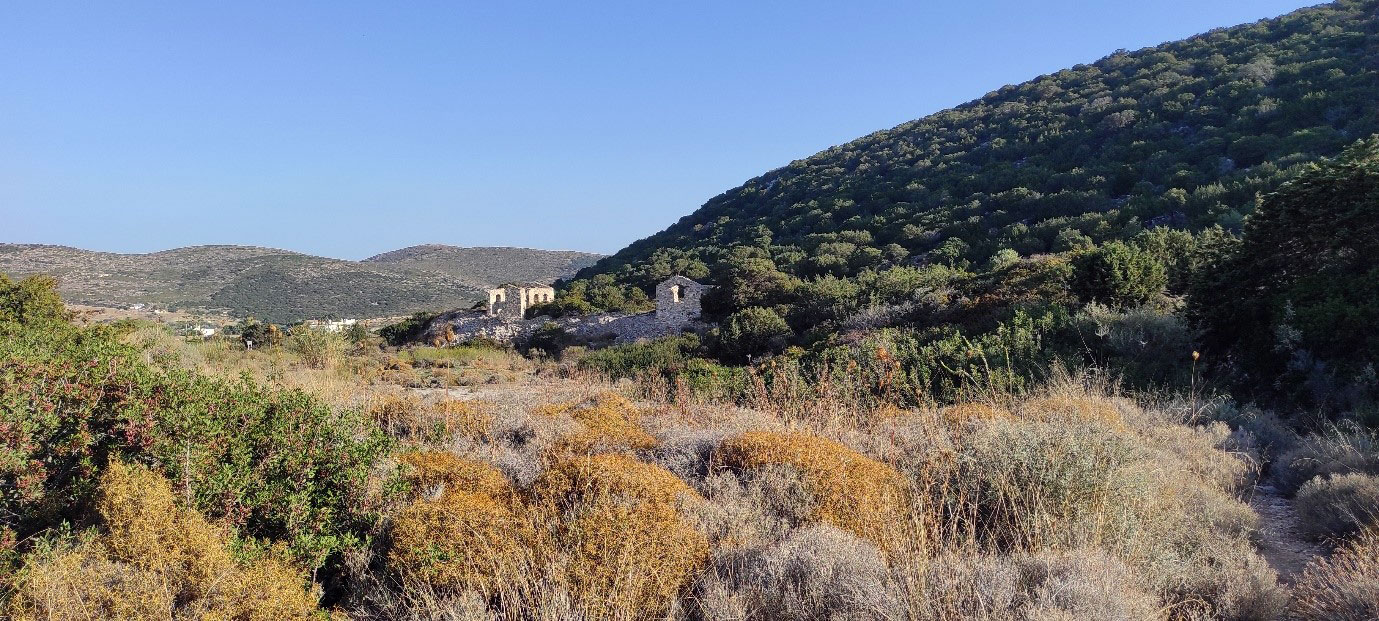 General view of the archaeological area