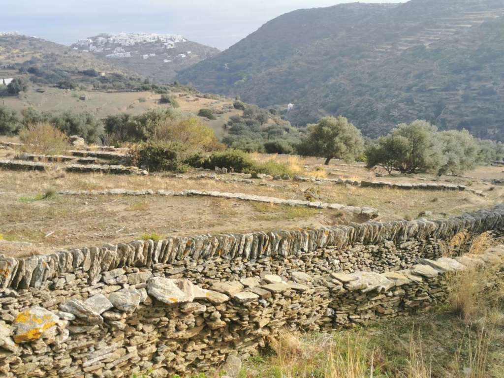 Dry stone terraces in the Cyclades