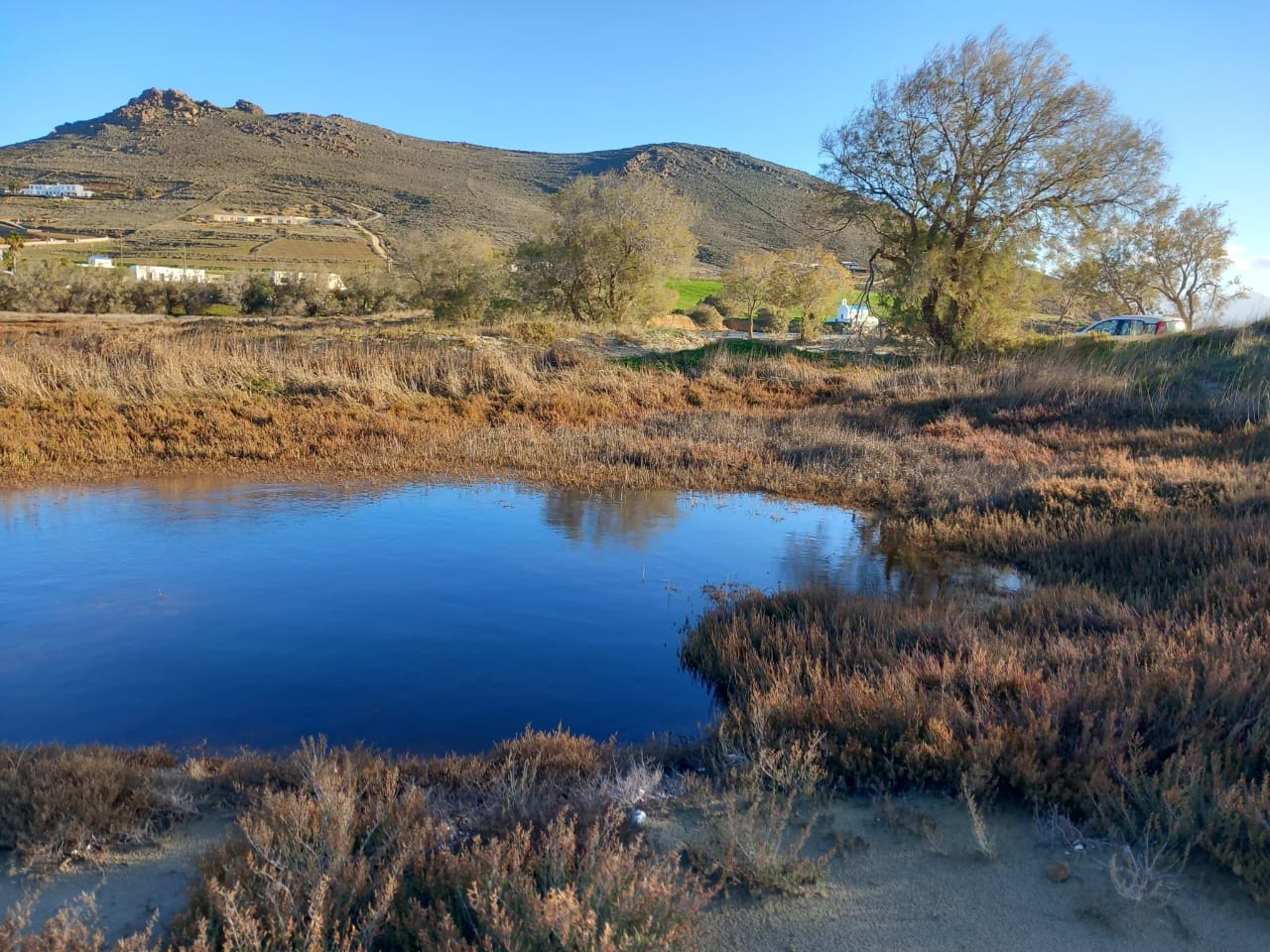 Wetland Molos Paros