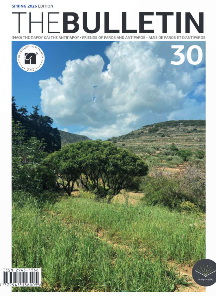 E-Bulletin 30, Spring 2026